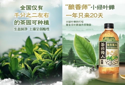 茶的傳人 無糖茶爆品背后的破局密碼