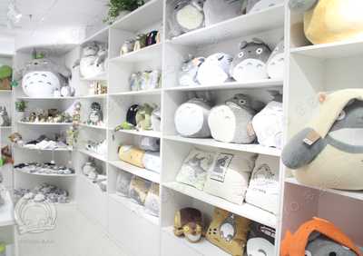 動(dòng)漫周邊的經(jīng)典——探訪多多洛龍貓動(dòng)漫店與杭州市凡簡家居用品